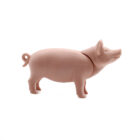 Playmobil Cerdo adulto ¡Mercadillo!