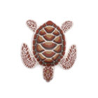 Playmobil Tortuga marrón rojiza ¡Mercadillo!